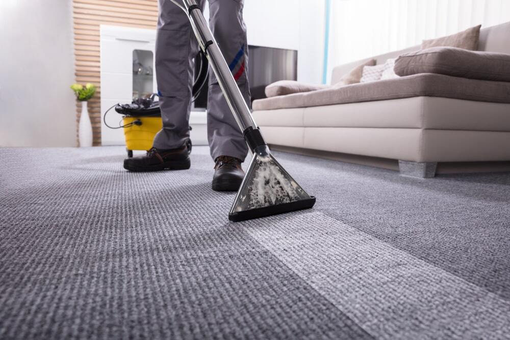 Why Every Home Needs Professional Carpet Cleaning for Long-Lasting Carpets
