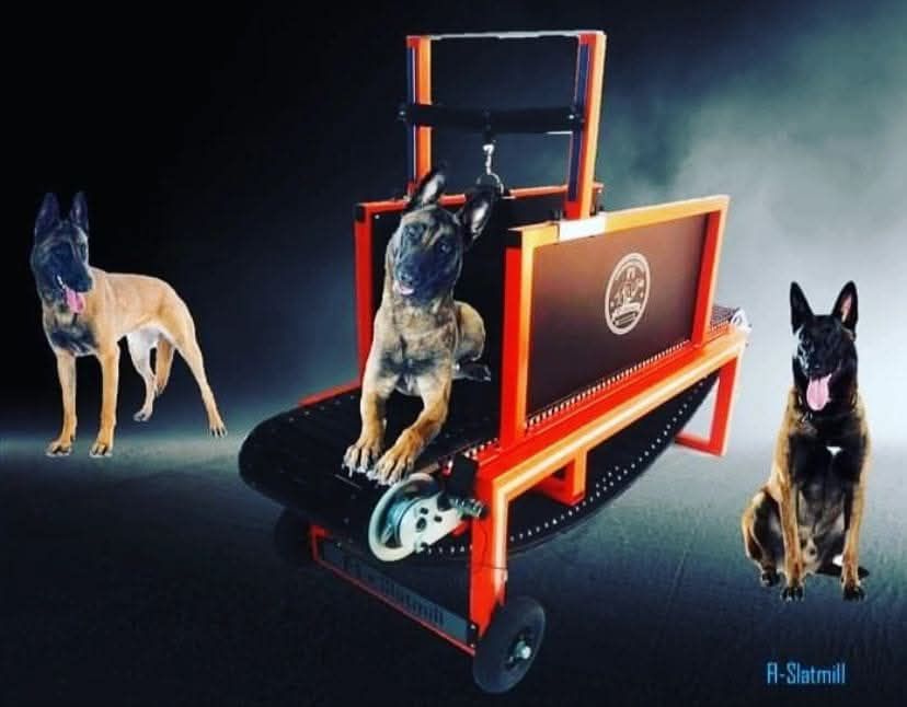 Dog treadmill for sale - treadmill for dogs - treadmillfordogs.com
